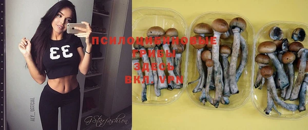 спиды Медногорск