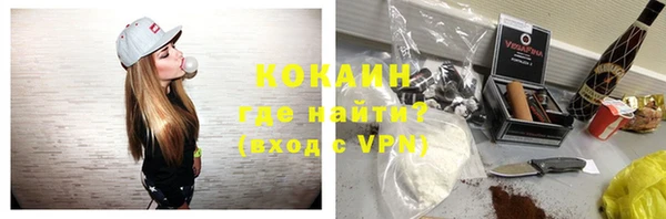индика Магас