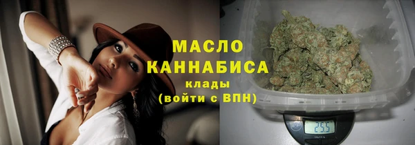 индика Магас
