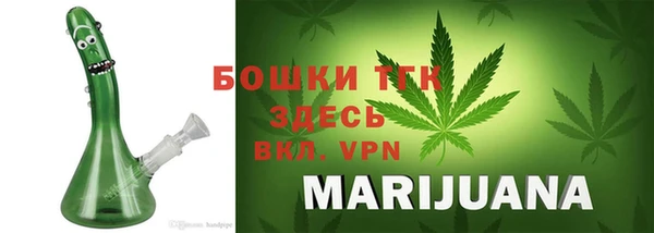индика Магас