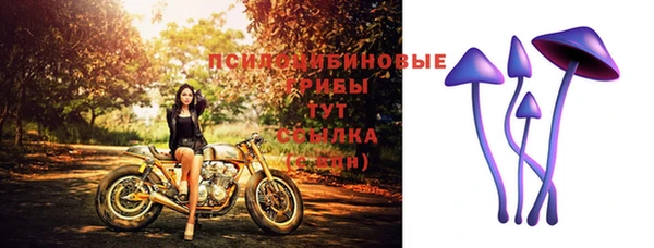 мдпв Мегион