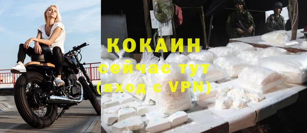 спиды Медногорск