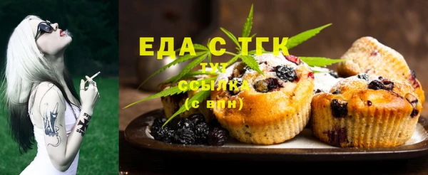 индика Магас