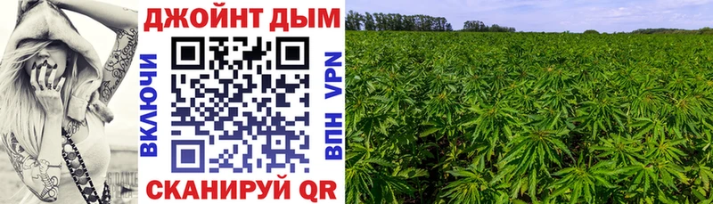 blacksprut ссылка  наркошоп  Пучеж  Шишки марихуана THC 21% 
